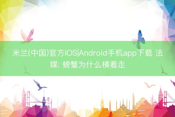 米兰(中国)官方IOS|Android手机app下载 法媒: 螃蟹为什么横着走