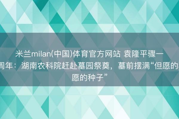 米兰milan(中国)体育官方网站 袁隆平骤一火五周年：湖南农科院赶赴墓园祭奠，墓前摆满“但愿的种子”