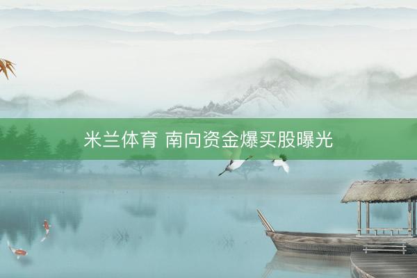 米兰体育 南向资金爆买股曝光
