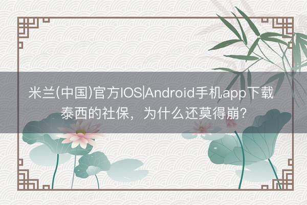 米兰(中国)官方IOS|Android手机app下载 泰西的社保，为什么还莫得崩？