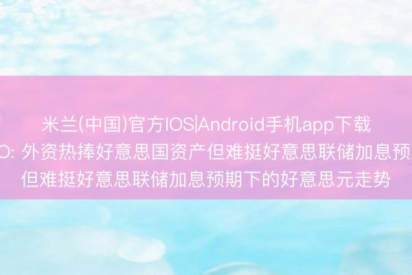 米兰(中国)官方IOS|Android手机app下载 SpaceX史上最大IPO: 外资热捧好意思国资产但难挺好意思联储加息预期下的好意思元走势