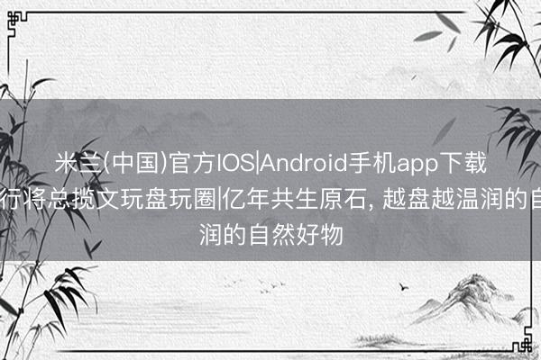 米兰(中国)官方IOS|Android手机app下载 狼山石行将总揽文玩盘玩圈|亿年共生原石， 越盘越温润的自然好物