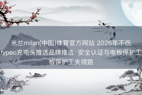 米兰milan(中国)体育官方网站 2026年不伤电板的typec充电头推选品牌推选: 安全认证与电板保护工夫领路
