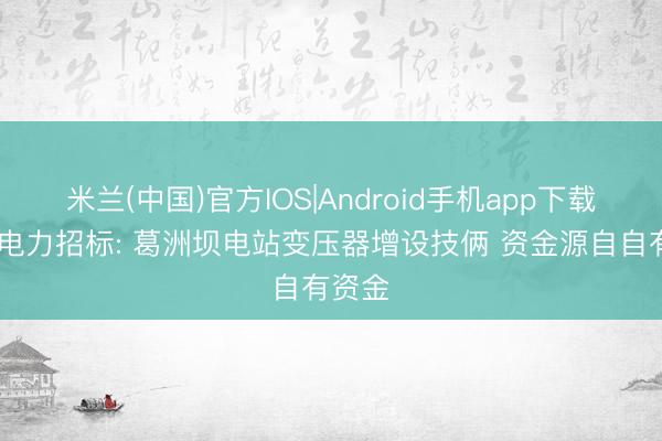 米兰(中国)官方IOS|Android手机app下载 长江电力招标: 葛洲坝电站变压器增设技俩 资金源自自有资金